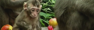 Mláďata v Zoo Olomouc